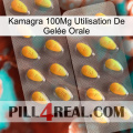 Kamagra 100Mg Utilisation De Gelée Orale cialis2